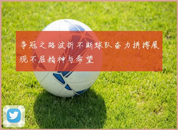 争冠之路波折不断球队奋力拼搏展现不屈精神与希望